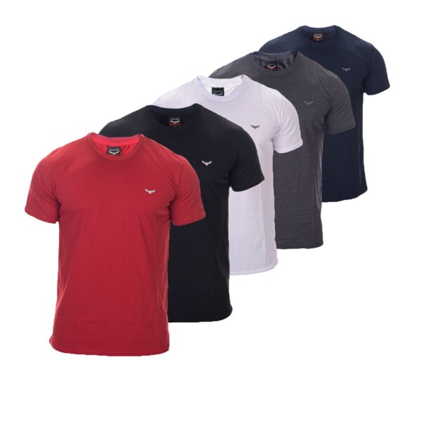 Kit 5 Camisetas Masculina Basicas de Algodão